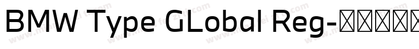 BMW Type GLobal Reg字体转换